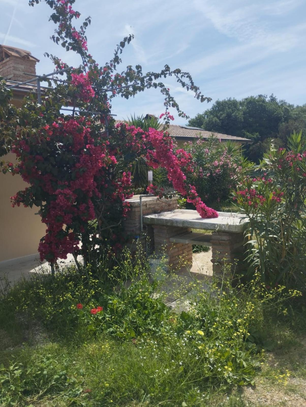 Appartamenti Mirella Capoliveri  Extérieur photo